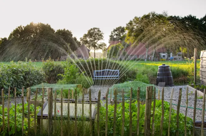 Sprinkler watering a garden with a wooden fence, barrel, and trees in the background.