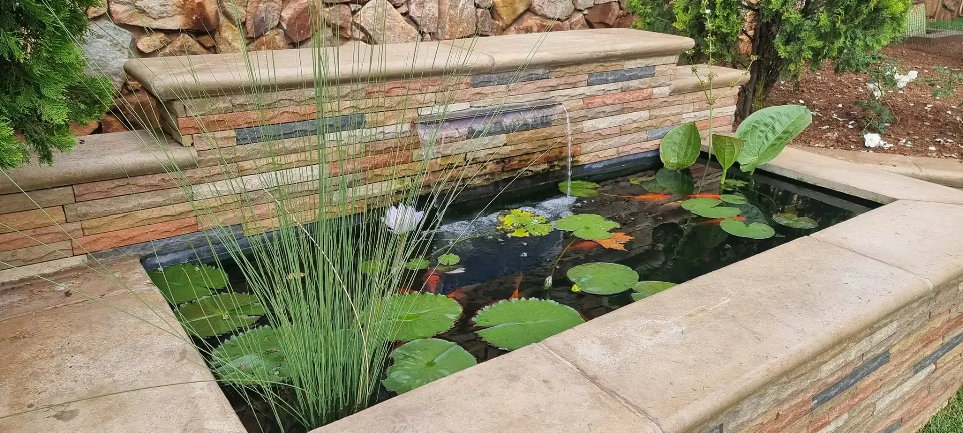 A rectangular pond with water lilies, plants, and small fish, surrounded by stone and brick walls in a garden setting.
