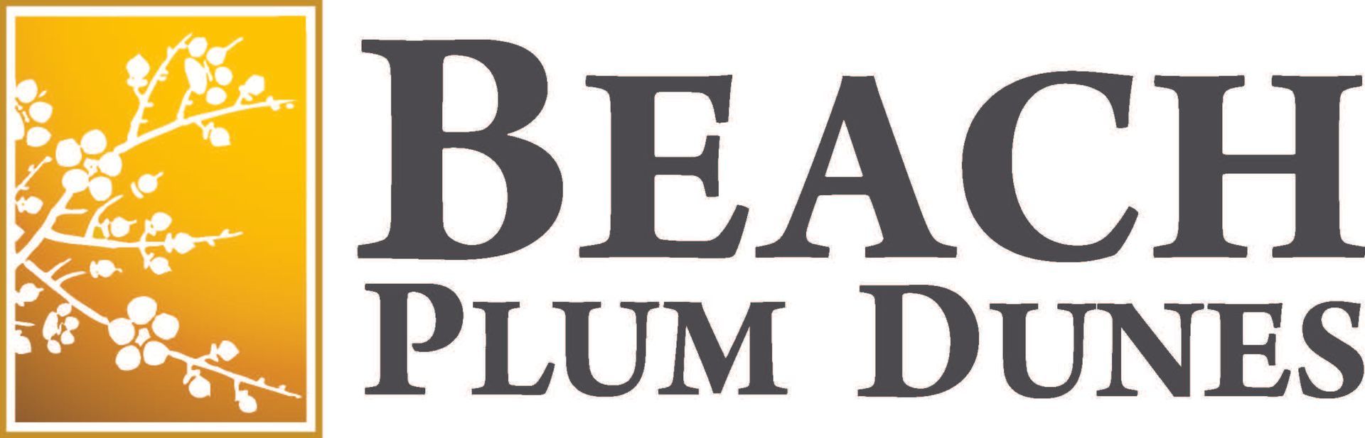 Logo featuring a yellow rectangle with white floral branches and the dark gray text 