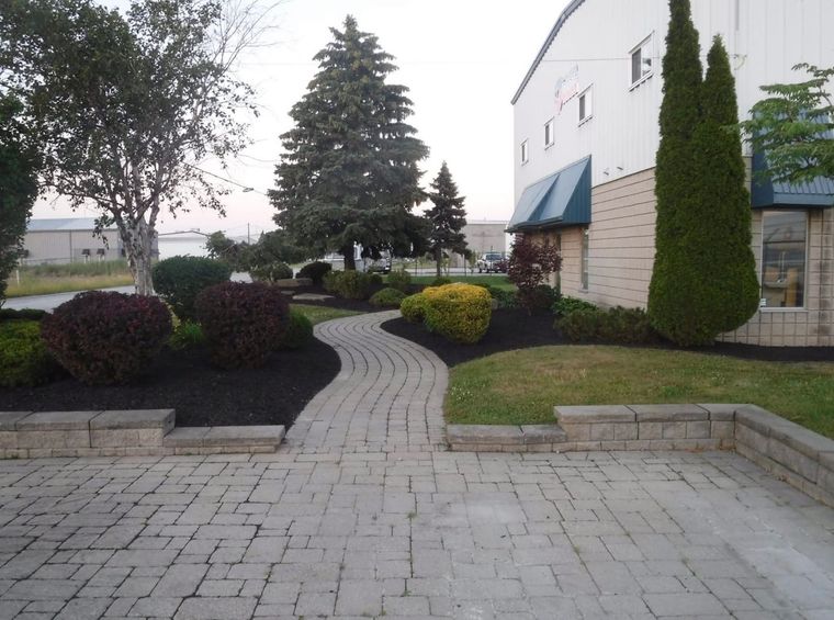 Stone walkway through a landscaped courtyard beside a white building, with shrubs and tall trees.