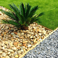 Garden border with green grass, tan pebbles, and a dark green plant beside gray gravel