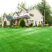 Large beige suburban house with a green lawn and tall trees under a bright sky