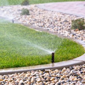 Sprinkler watering a green lawn beside a gravel path