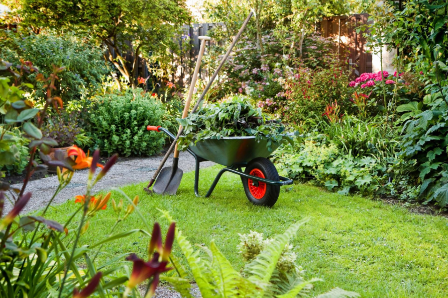 Wheelbarrow in a lush garden with flowers, greenery, and a stone path