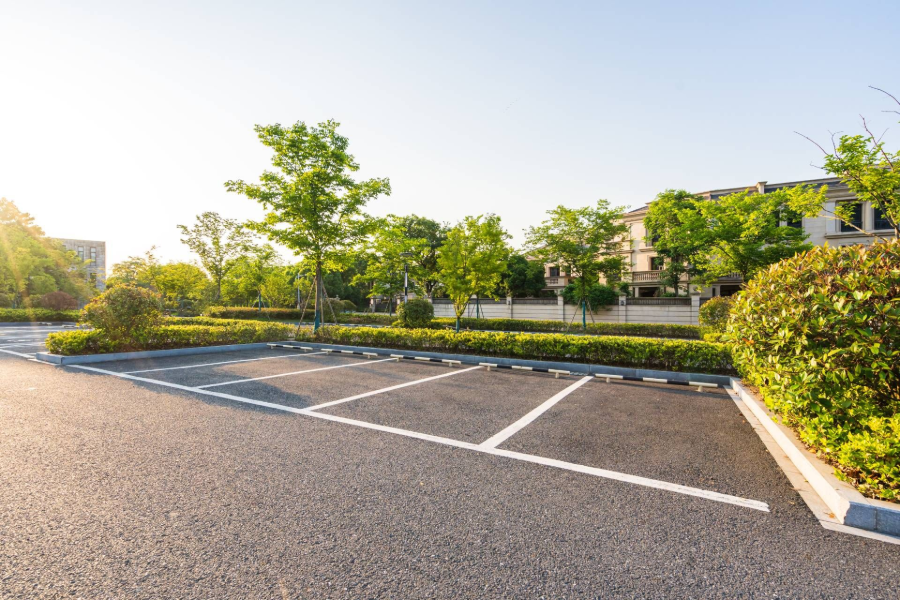 Empty parking lot with marked spaces, trees, and buildings in warm sunlight