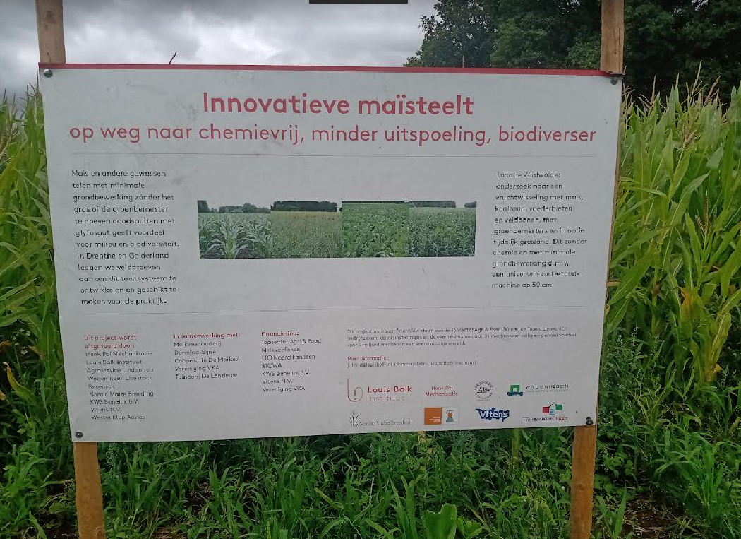 Maisteelt (samenwerking drinkwatersector, ecologen WUR en anderen) de mais is gelig