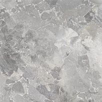 Argos gris