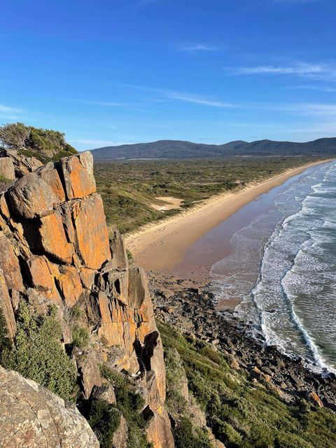 Susie Gilmore Beach Newcastle