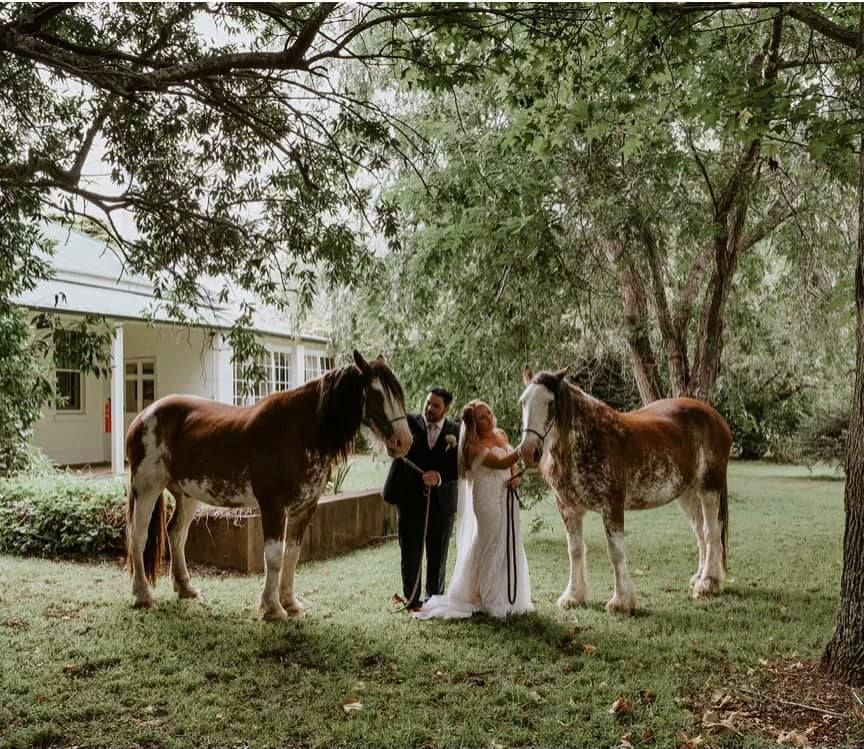 La Belle Bridal Boutique