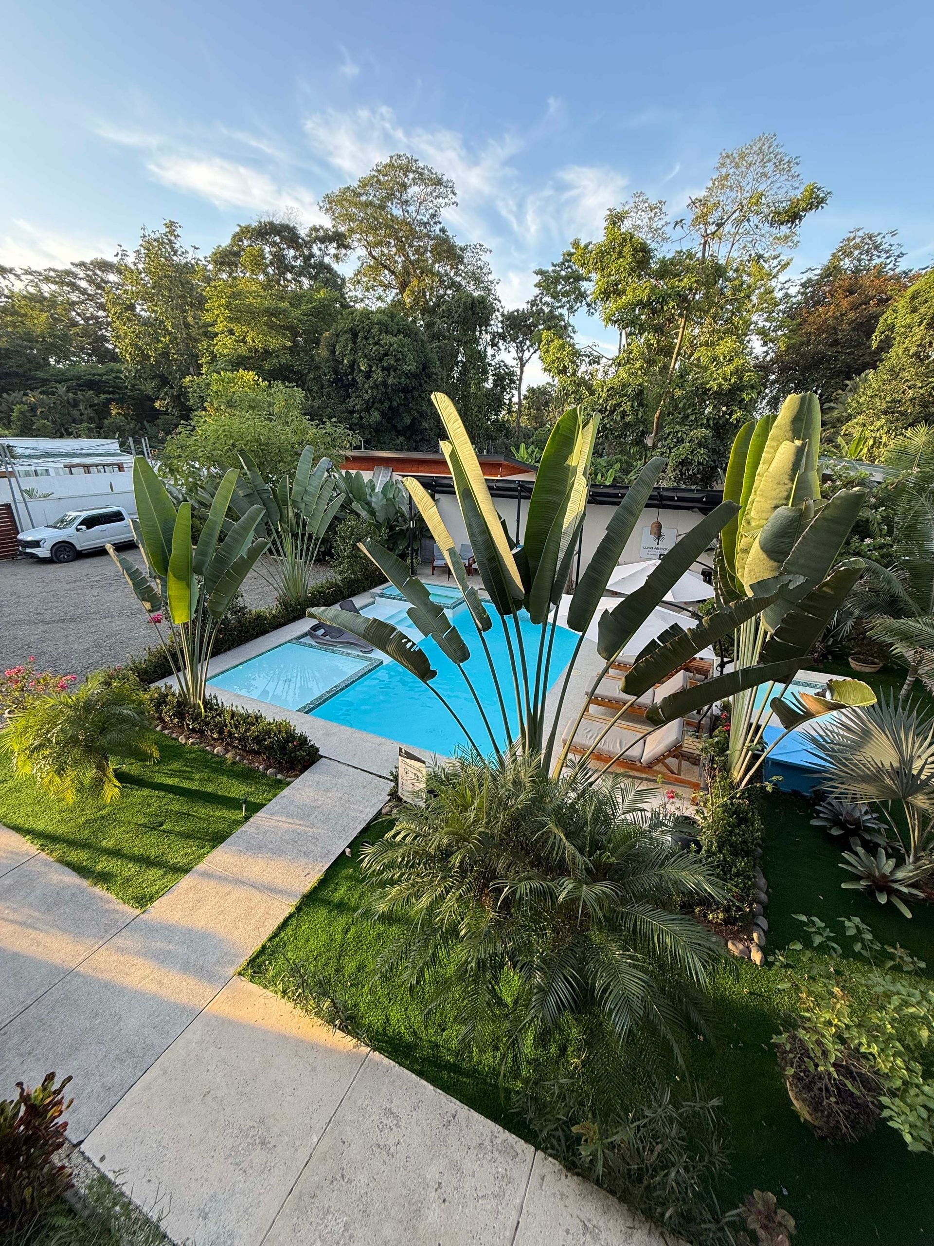 Swimming pool surrounded by green plants, trees and walkway on sunny day.