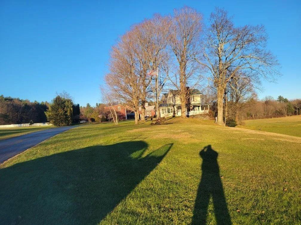 Sunlit grassy field with bare trees, a house in the distance, and long shadows in the foreground