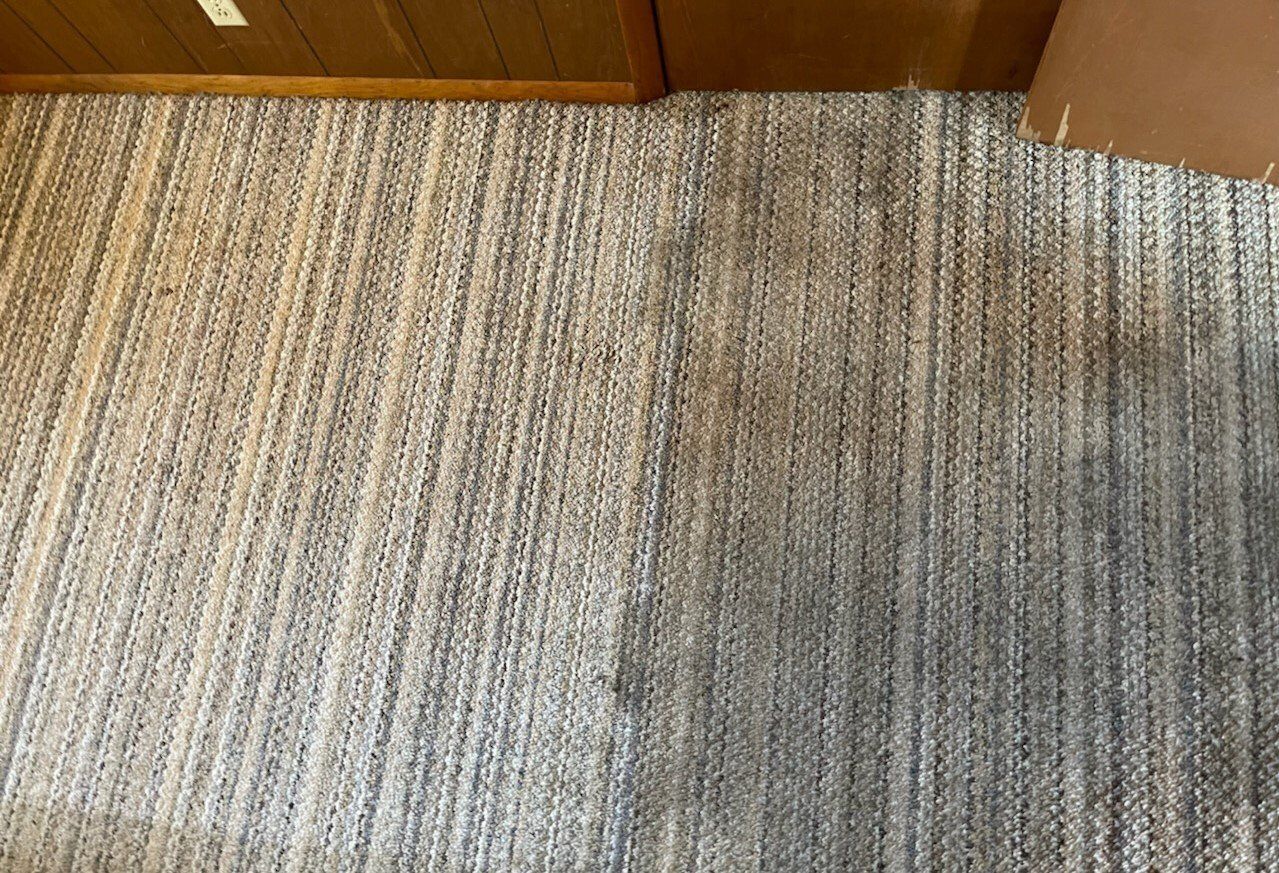 Carpet Cleaning before and after