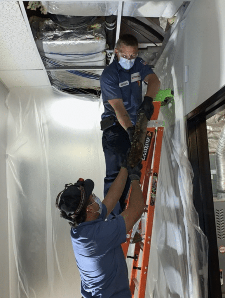 jl plumbing ceiling plumbing workers