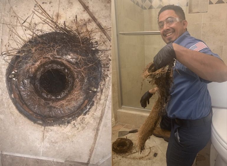 Man holding a large root ball beside a wall opening stuffed with roots in a bathroom or utility room