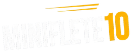 Gráfico blanco con el texto tenue “MINIFLEET” y un gran “10” naranja a la derecha.