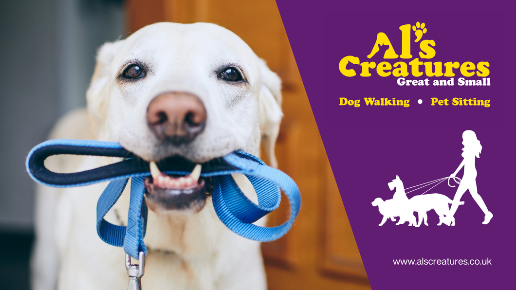 Happy blonde dog with lead in it's mouth, ready for a walk