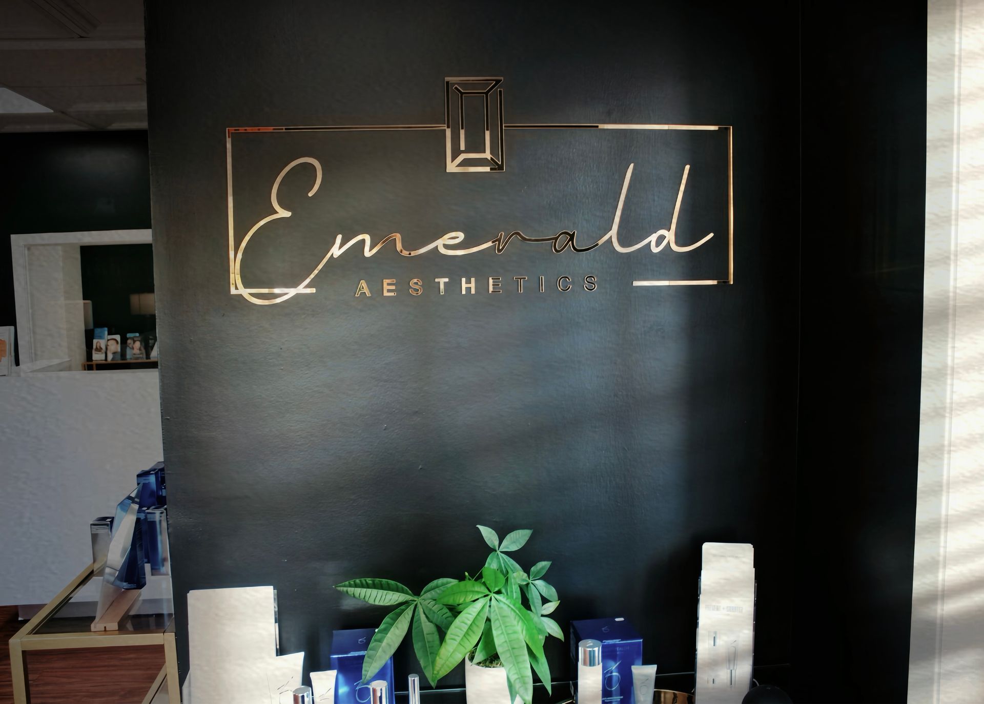 Elegant black salon wall with gold “Empire of Her Therapy” sign and a potted plant below.