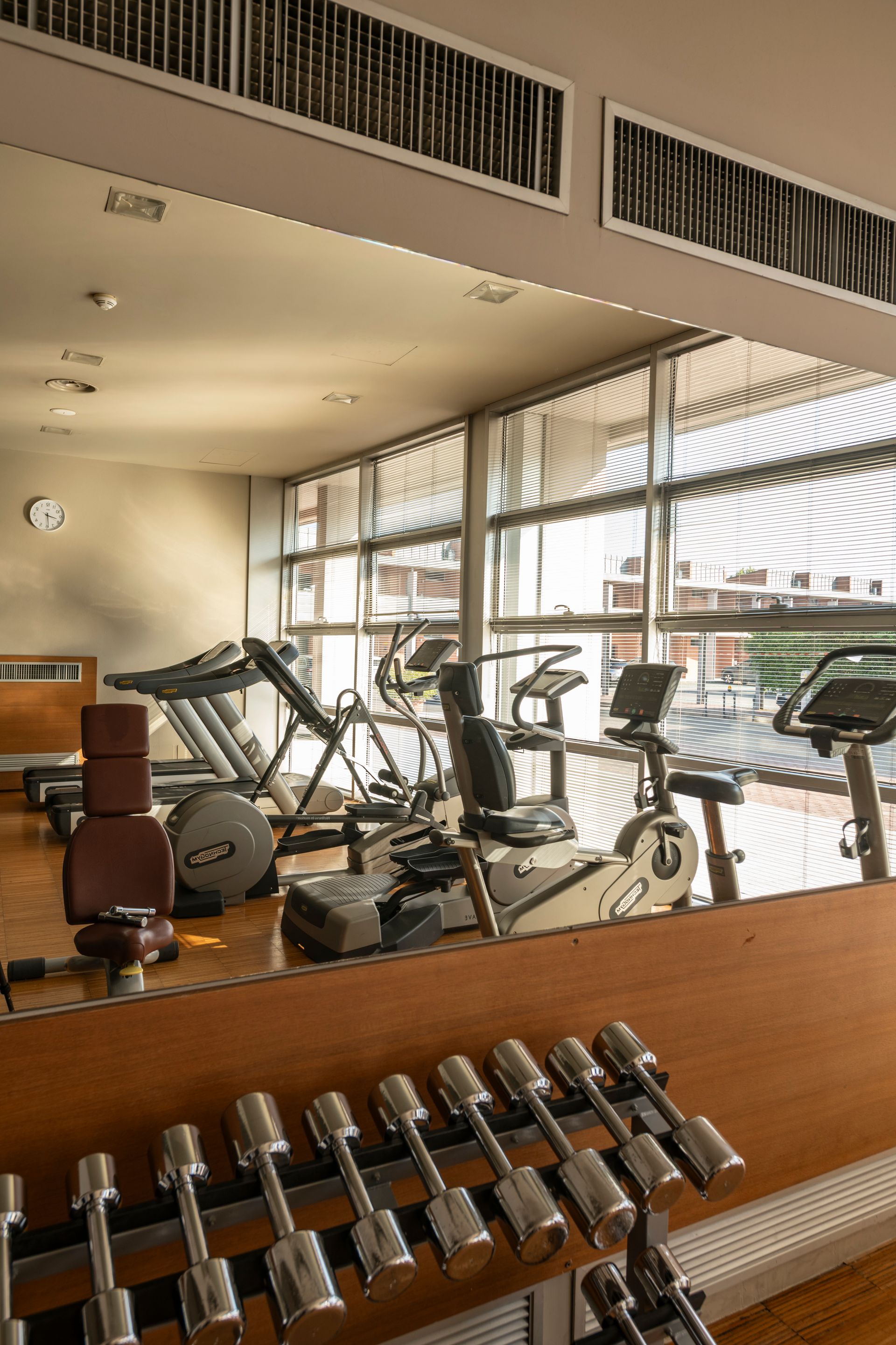 Intérieur de salle de sport avec vélos d'exercice, haltères et grandes fenêtres donnant sur l'extérieur