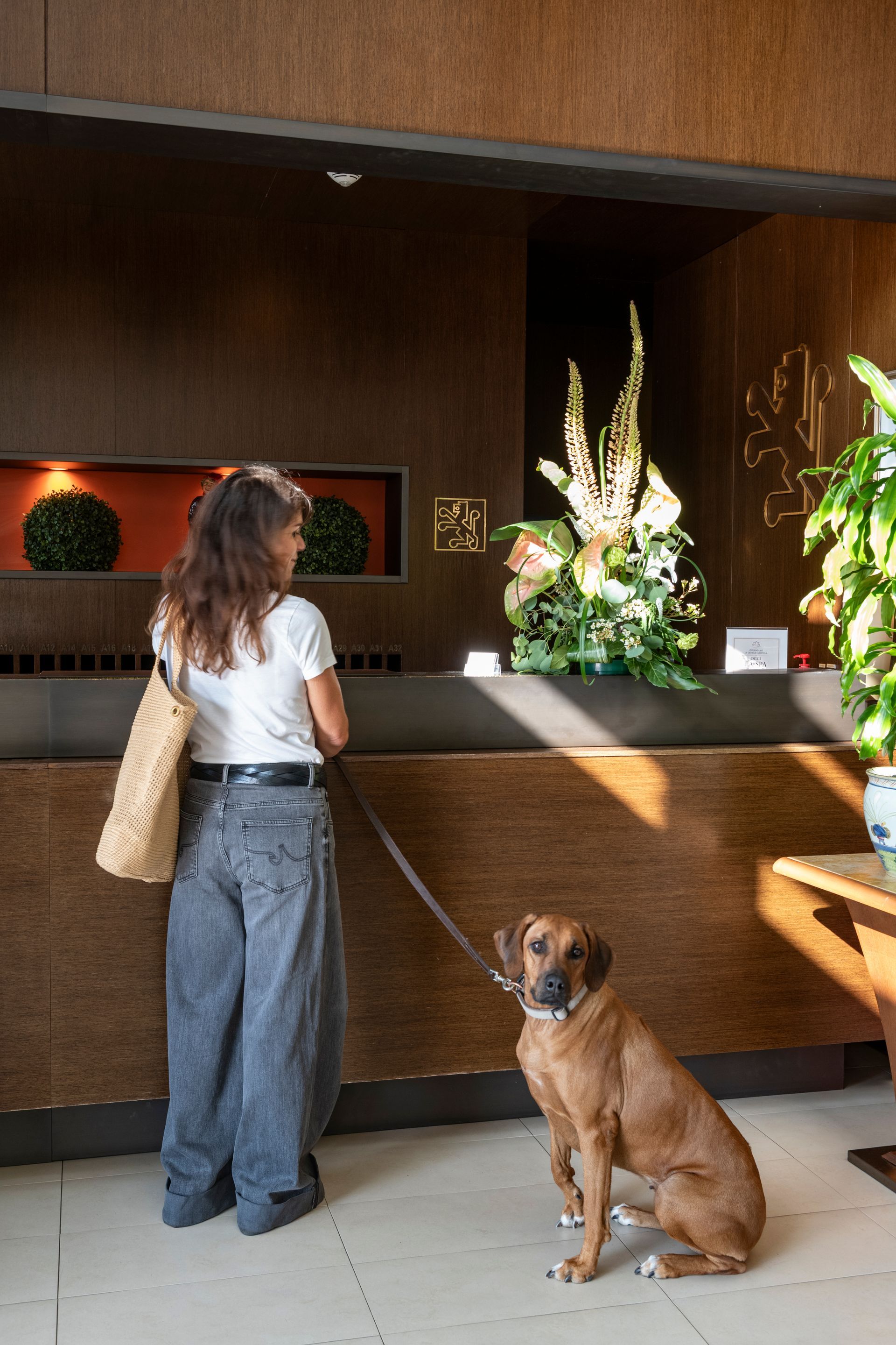 Eine Person mit einer Tragetasche steht an einem Hotelrezeptionstresen neben einem sitzenden braunen Hund