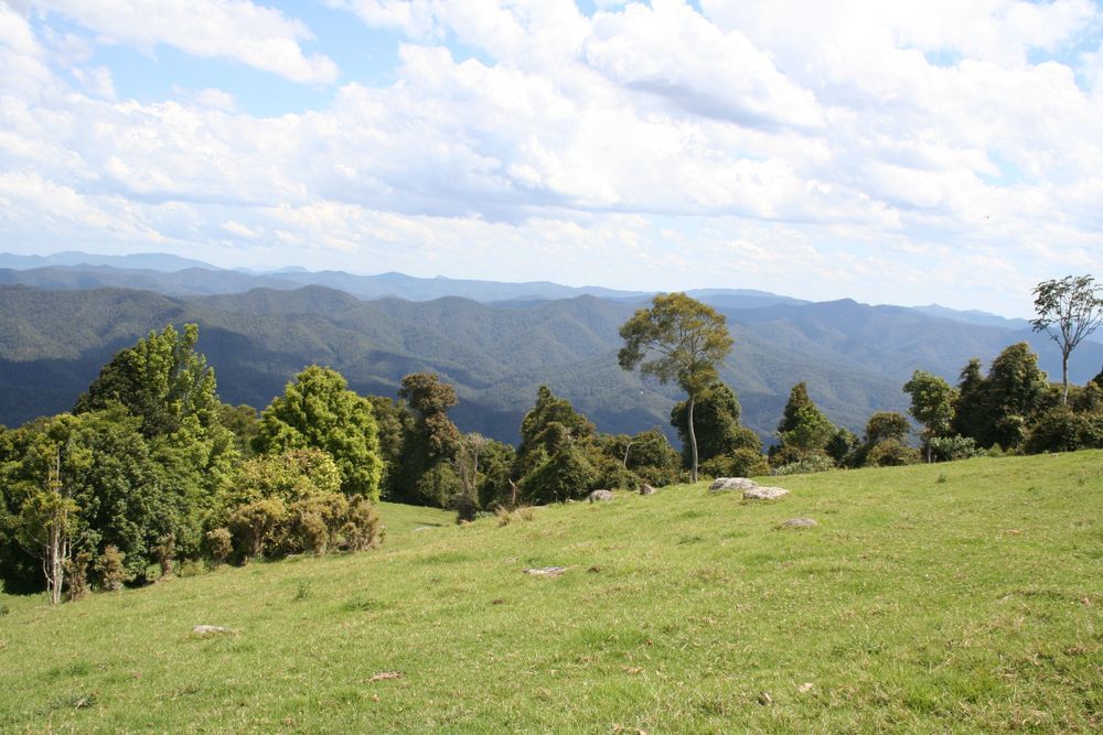 Green Meadow with Scattered Trees — Pasiv Fire in Albion Park,  NSW