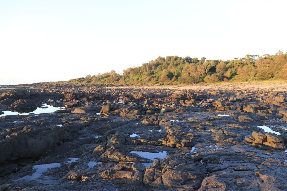Rocky Shoreline with Dark Tide Pools and A Sunlit — Pasiv Fire in Kiama,  NSW