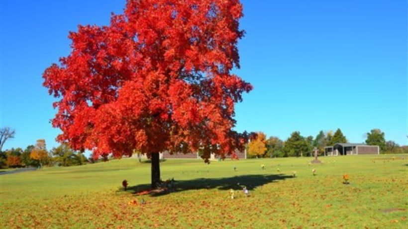 Kirby's Tucker Memorial Cemetery