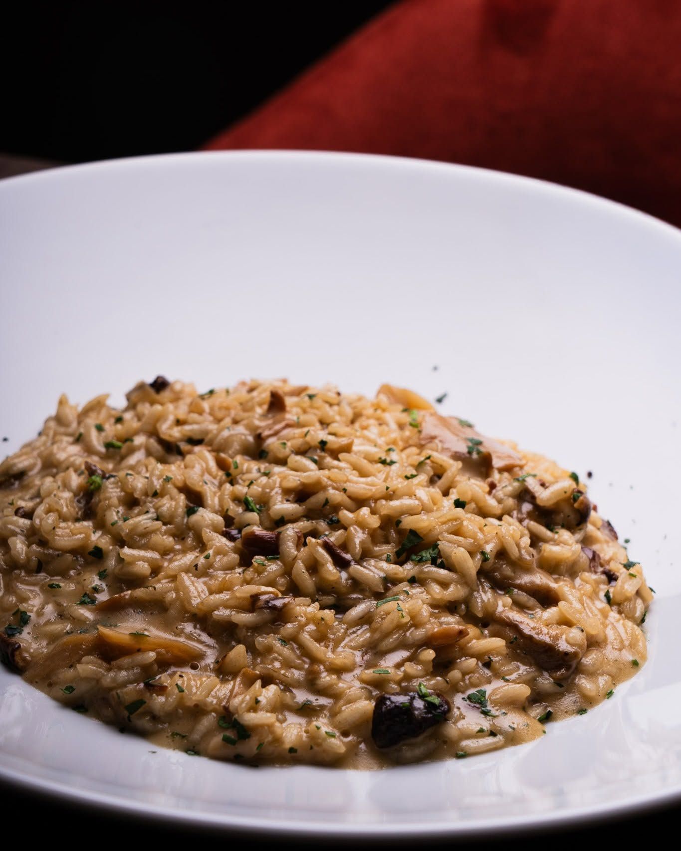 Risotto cremoso ai funghi su un piatto bianco con sfondo rosso scuro.