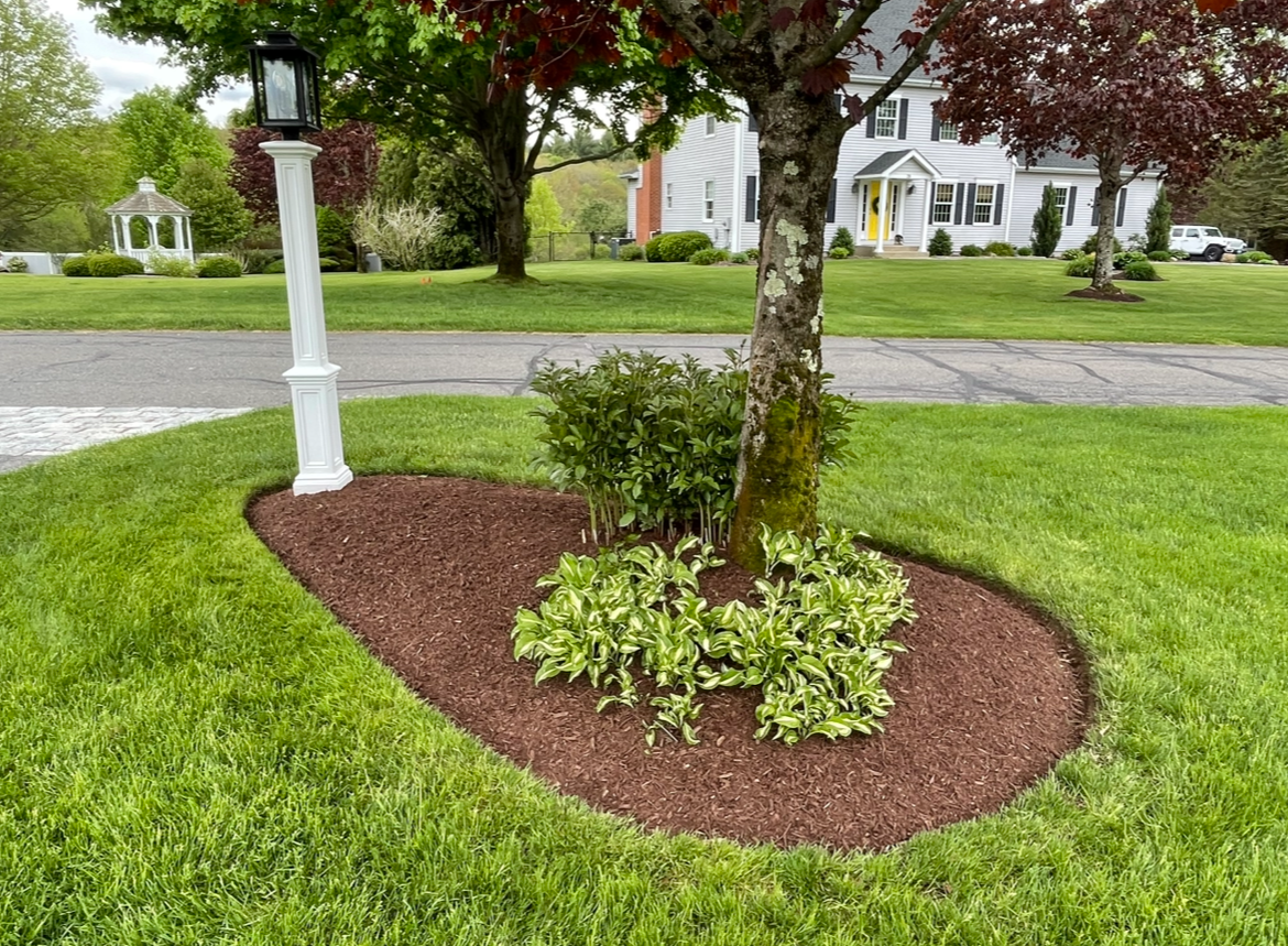 Large brick house with debris scattered on the lawn; damaged bushes and branches.