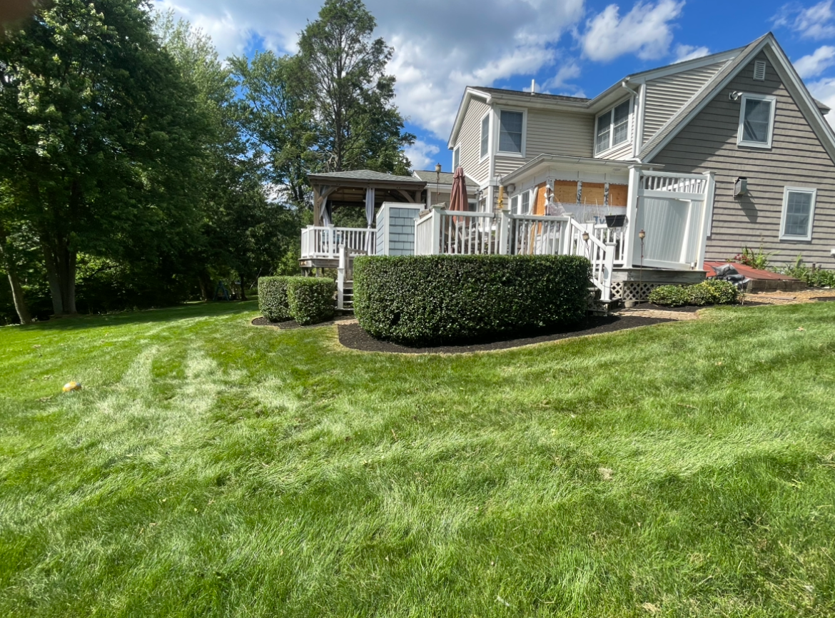 Green lawn with hedge, white deck and house with grey siding. Blue sky.