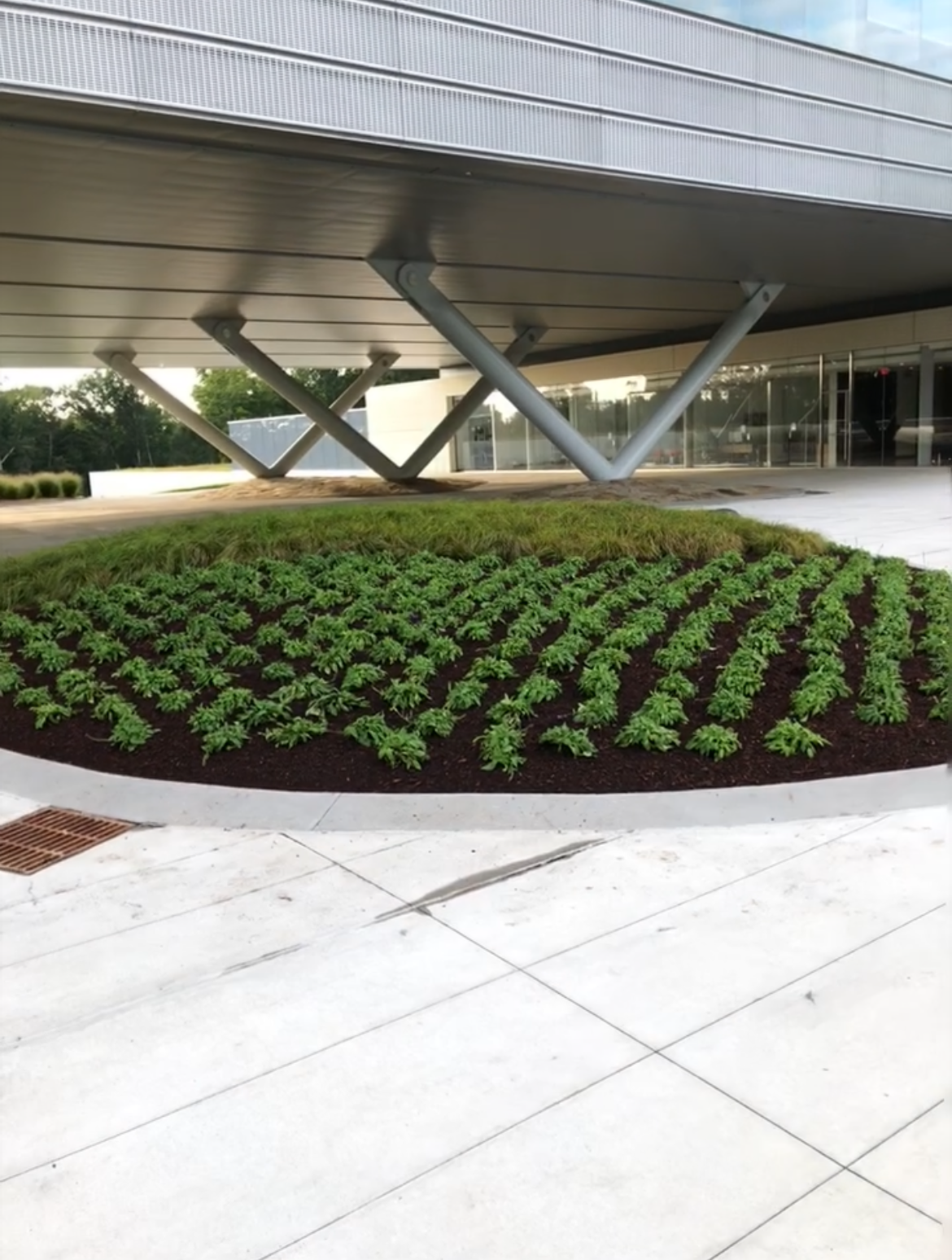 View of a modern building with a raised section supported by V-shaped columns, over a landscaped bed of green plants.