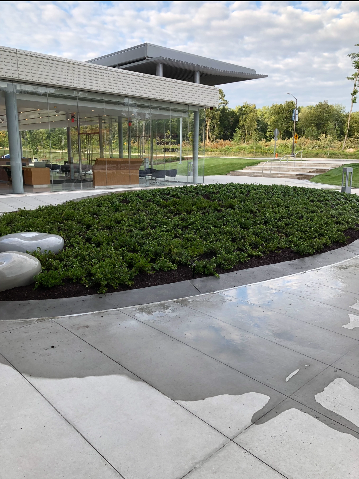 Green shrubbery in a landscaped area next to a paved patio, with a pavilion in the background.