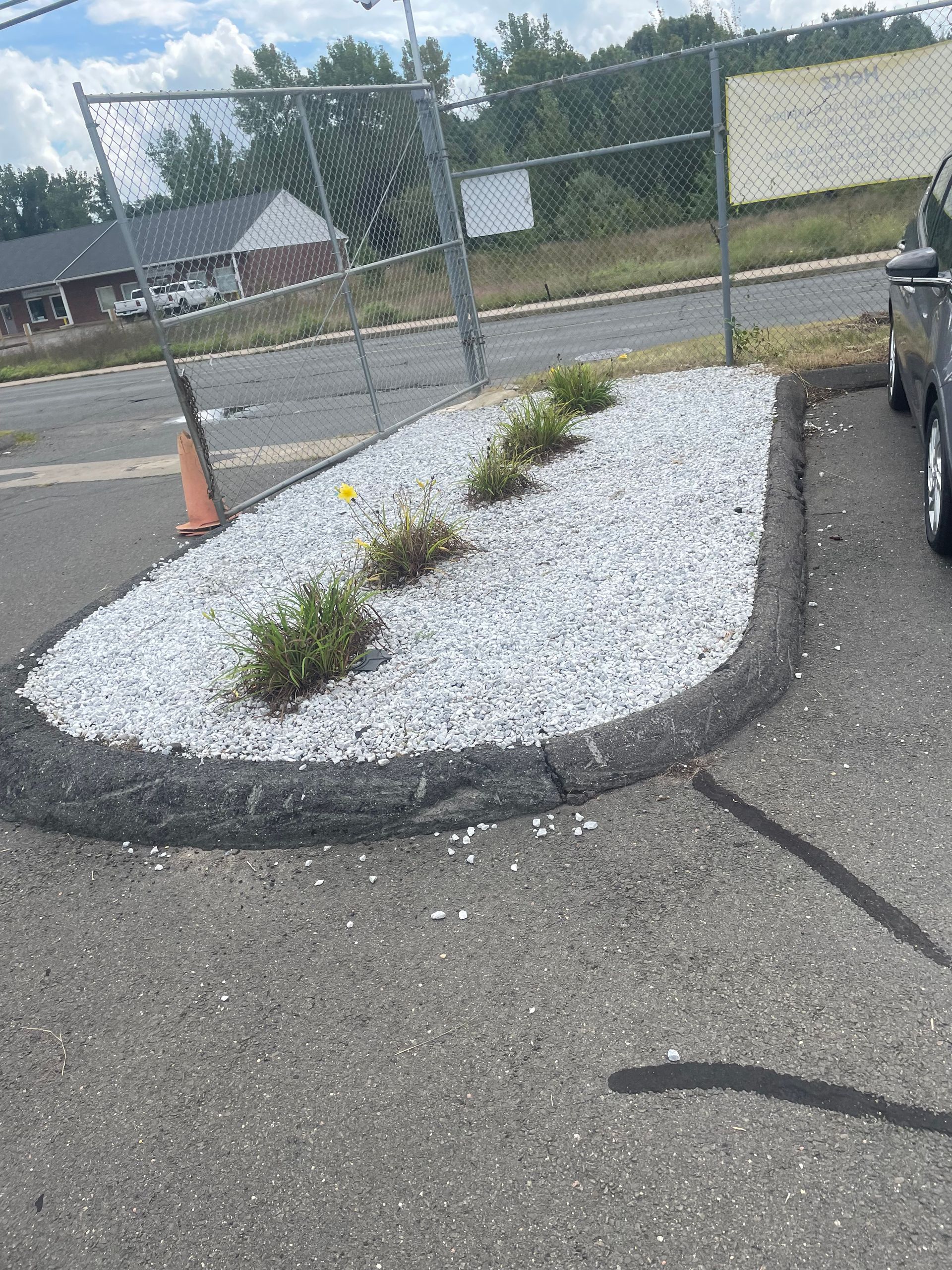 An oval-shaped flower bed with white stone and small plants, bordered by black material, adjacent to a parking lot.