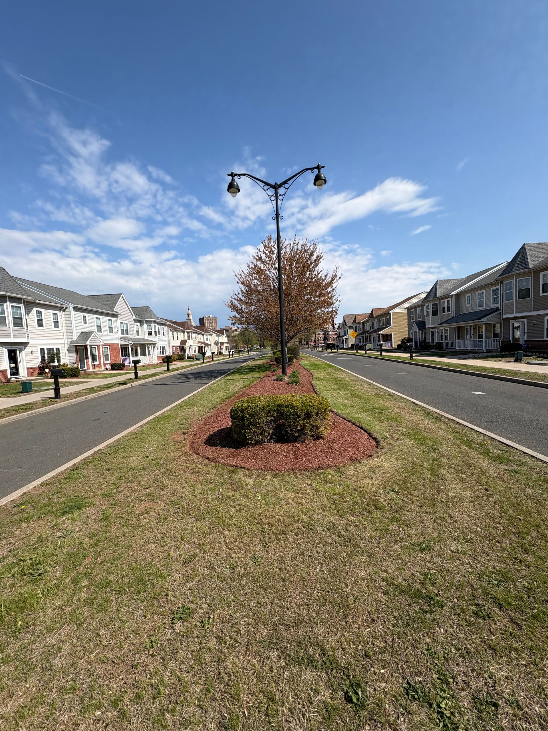 Street with houses, a central median with grass, a tree, and a lamp post under a blue sky.