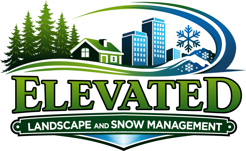 Elevated Landscape & Snow Management