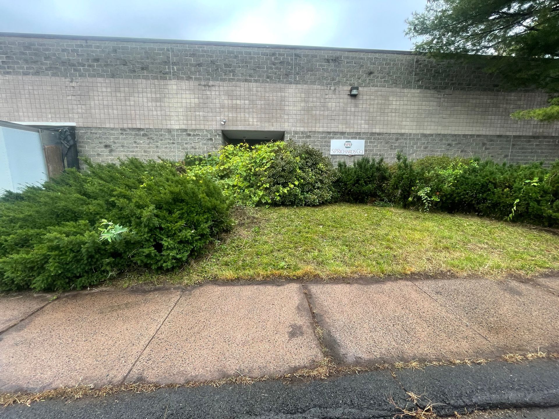 A brick building with overgrown bushes and a grassy area in front. Sidewalk in foreground.