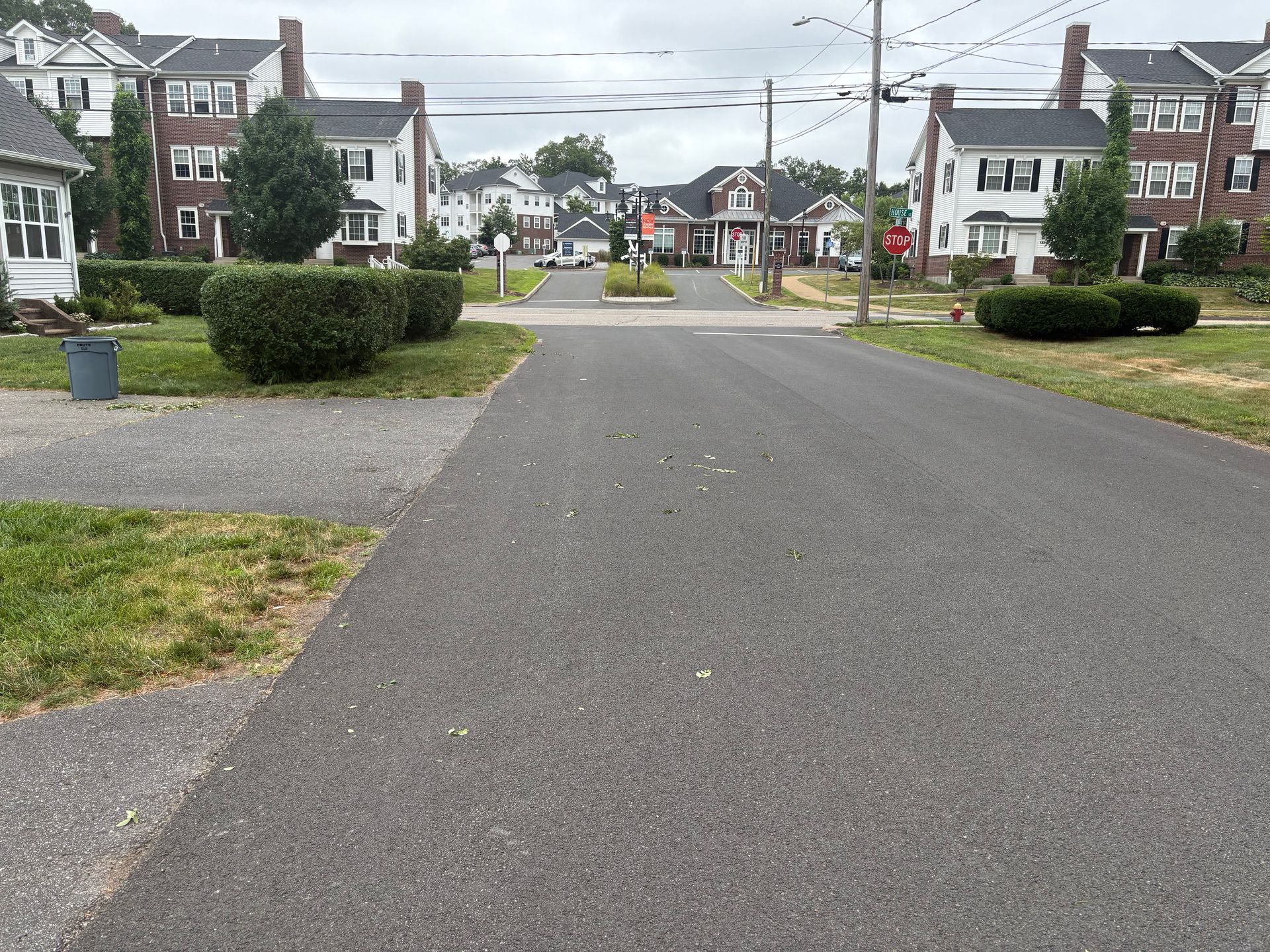 Paved road with trimmed bushes and houses on either side, street view.