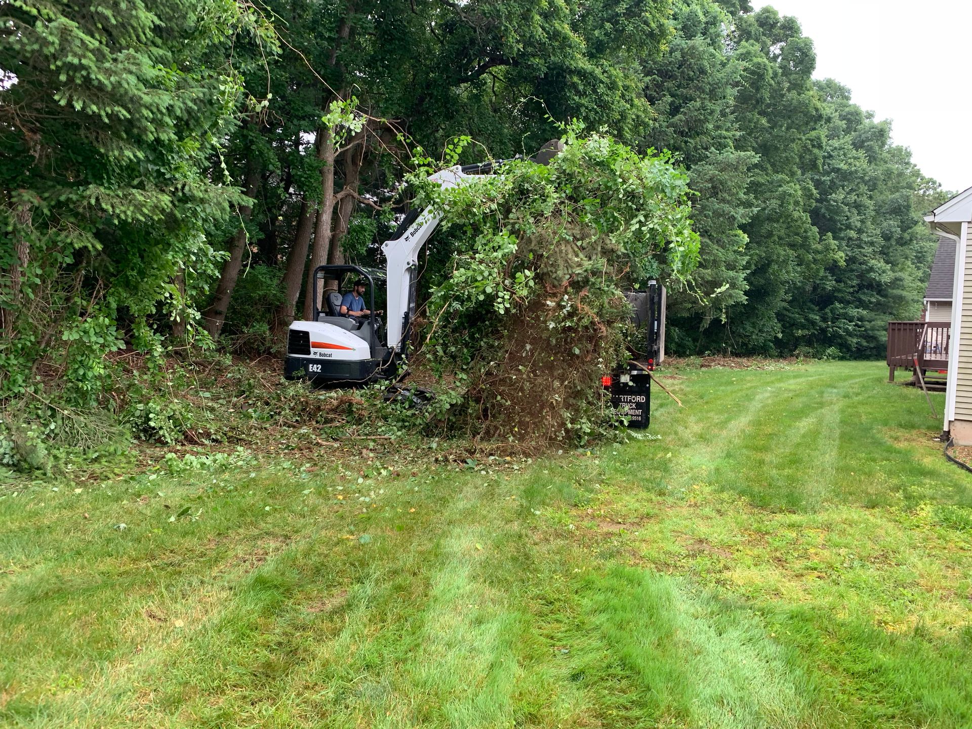 A small excavator clears brush near trees; a trailer collects debris on a grassy lawn.