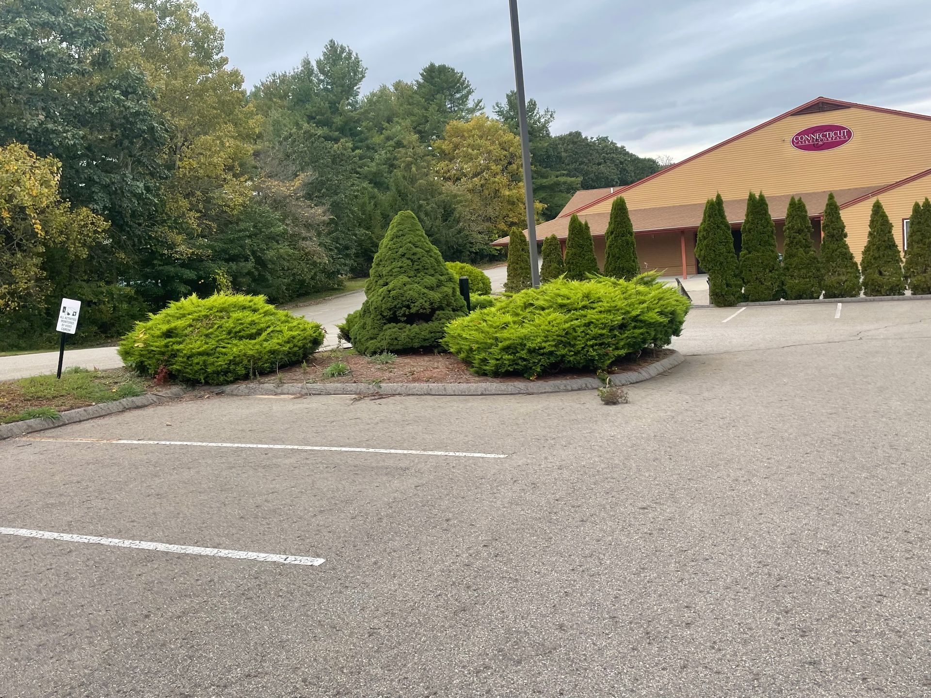 Parking lot with green shrubs and a building under a cloudy sky.