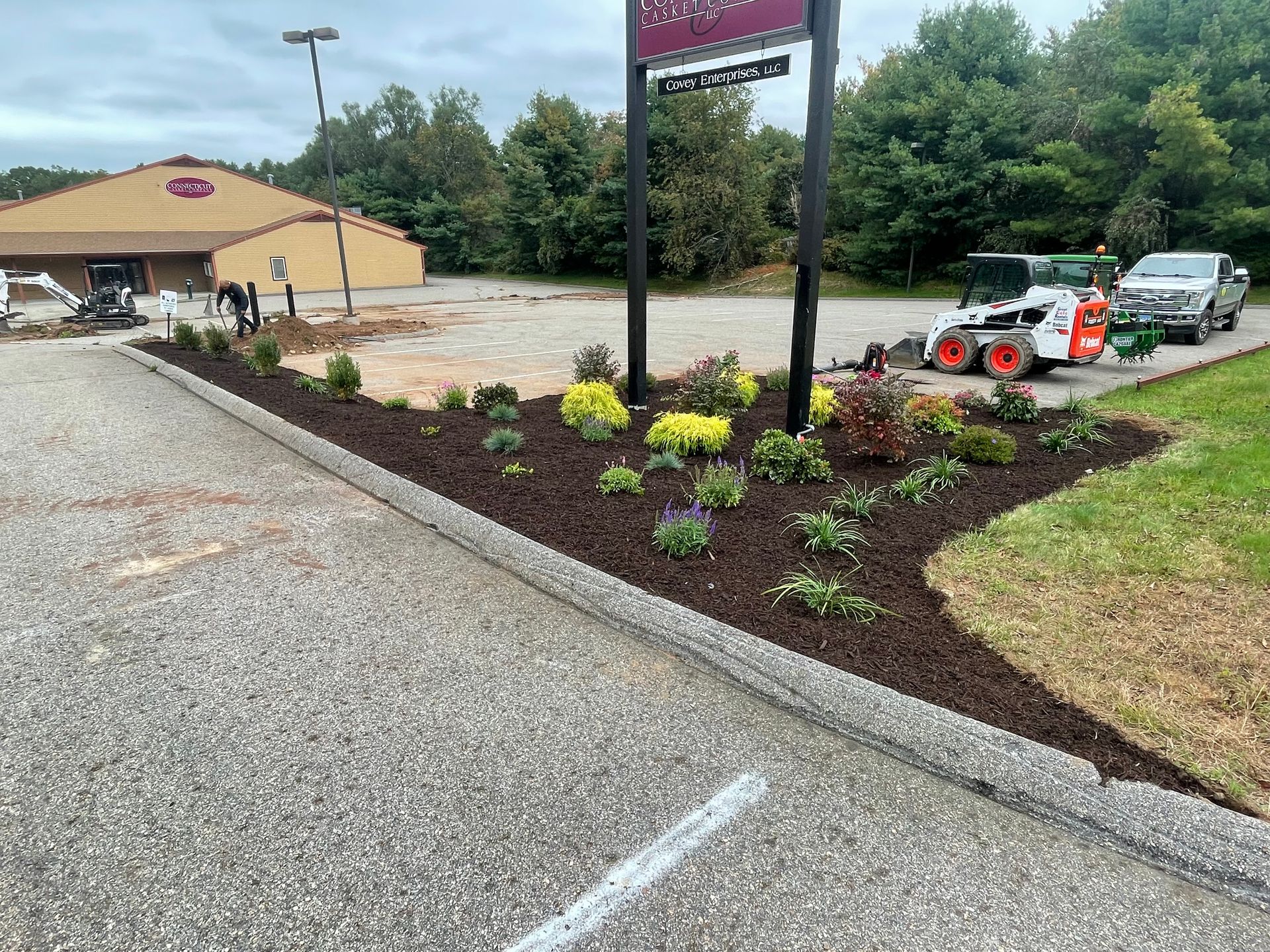 Trees and shrubs in black pots for sale; autumn leaves in shades of red, green, and yellow.