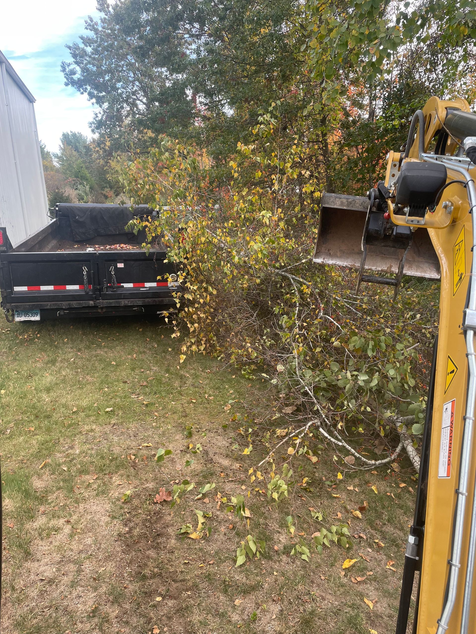 Excavator loading brush into a dump truck on grassy ground, trees in the background.