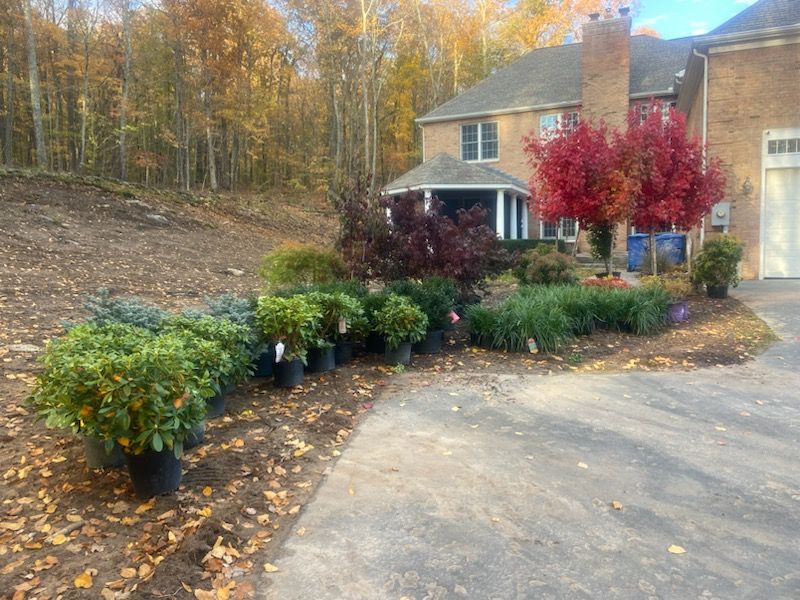 Potted plants lined up along a driveway next to a brick house and fall foliage.