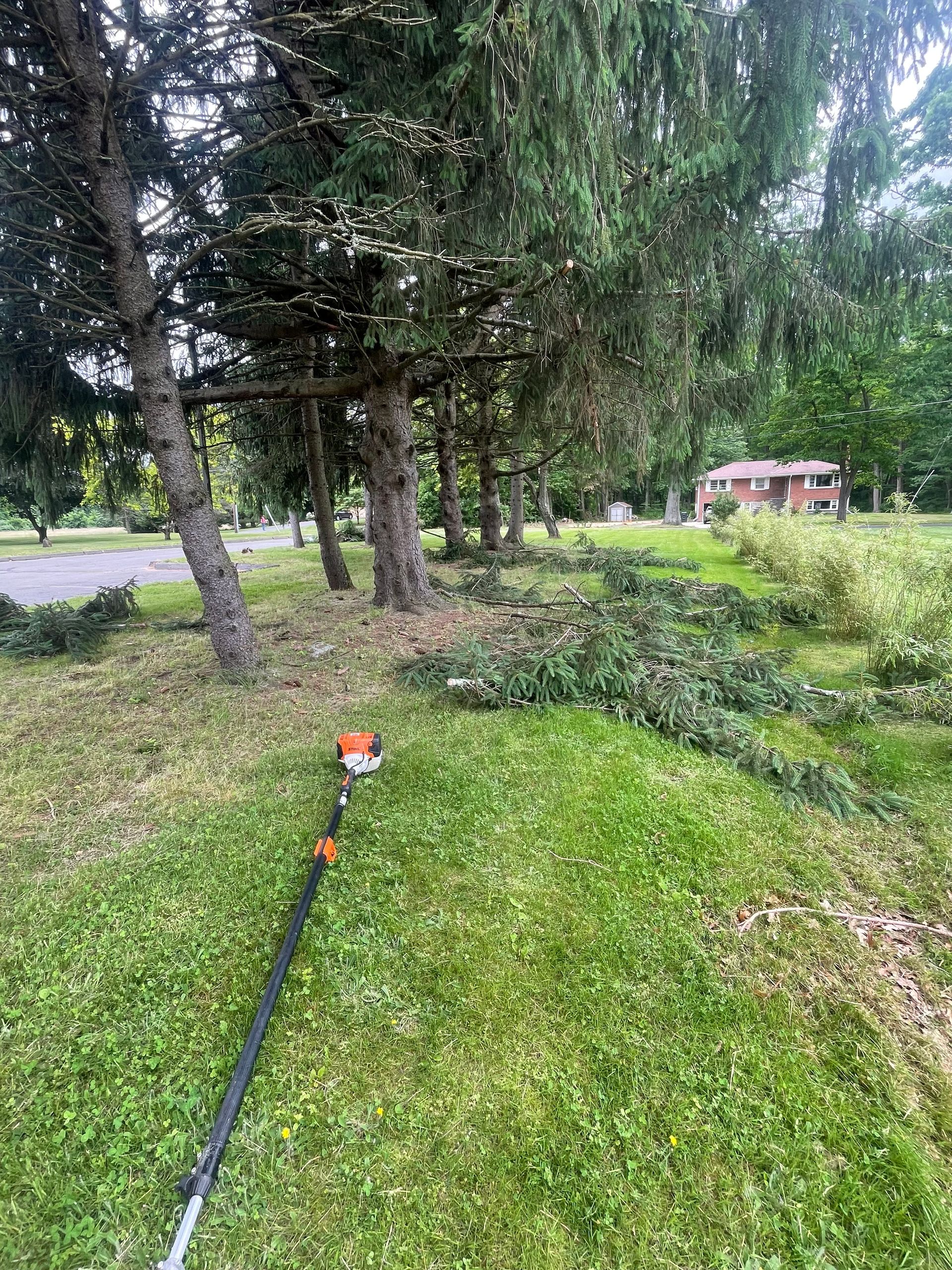A person uses a pole saw to trim trees alongside grass in an outdoor area; cut branches lie on the ground.