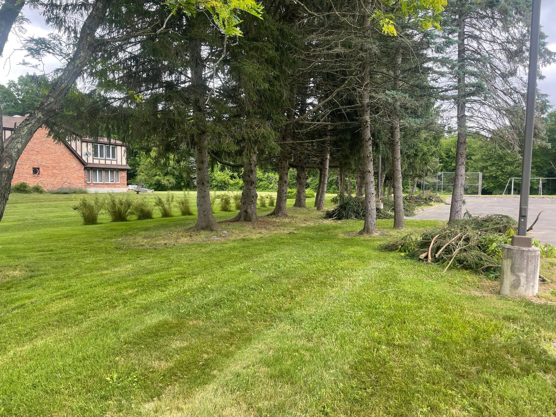 Green lawn with line of trees; brick building in background. Some tree branches on ground.