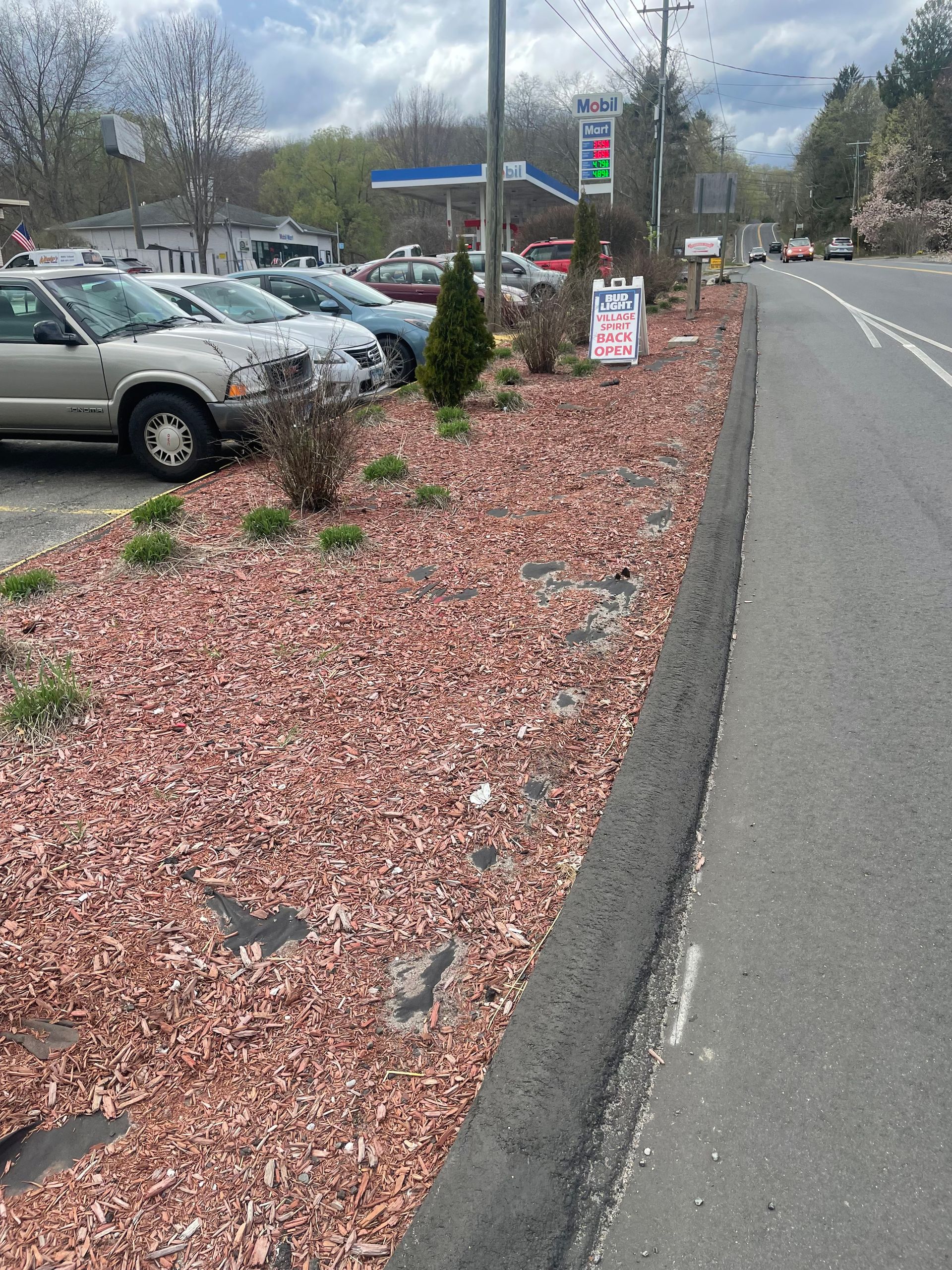 Red mulch in a roadside flower bed; cars parked nearby, gas station in the background.