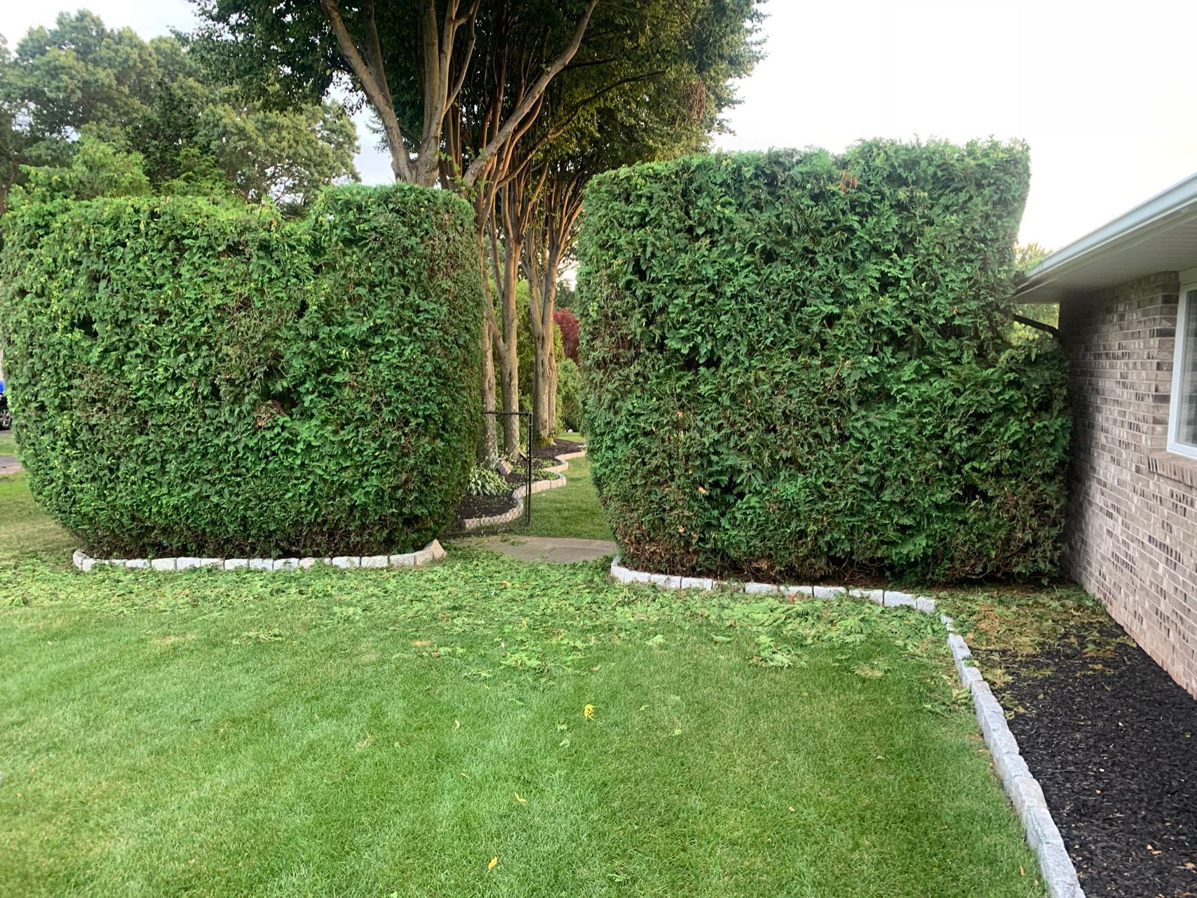 Neatly trimmed green hedges framing a grassy yard beside a stone house wall
