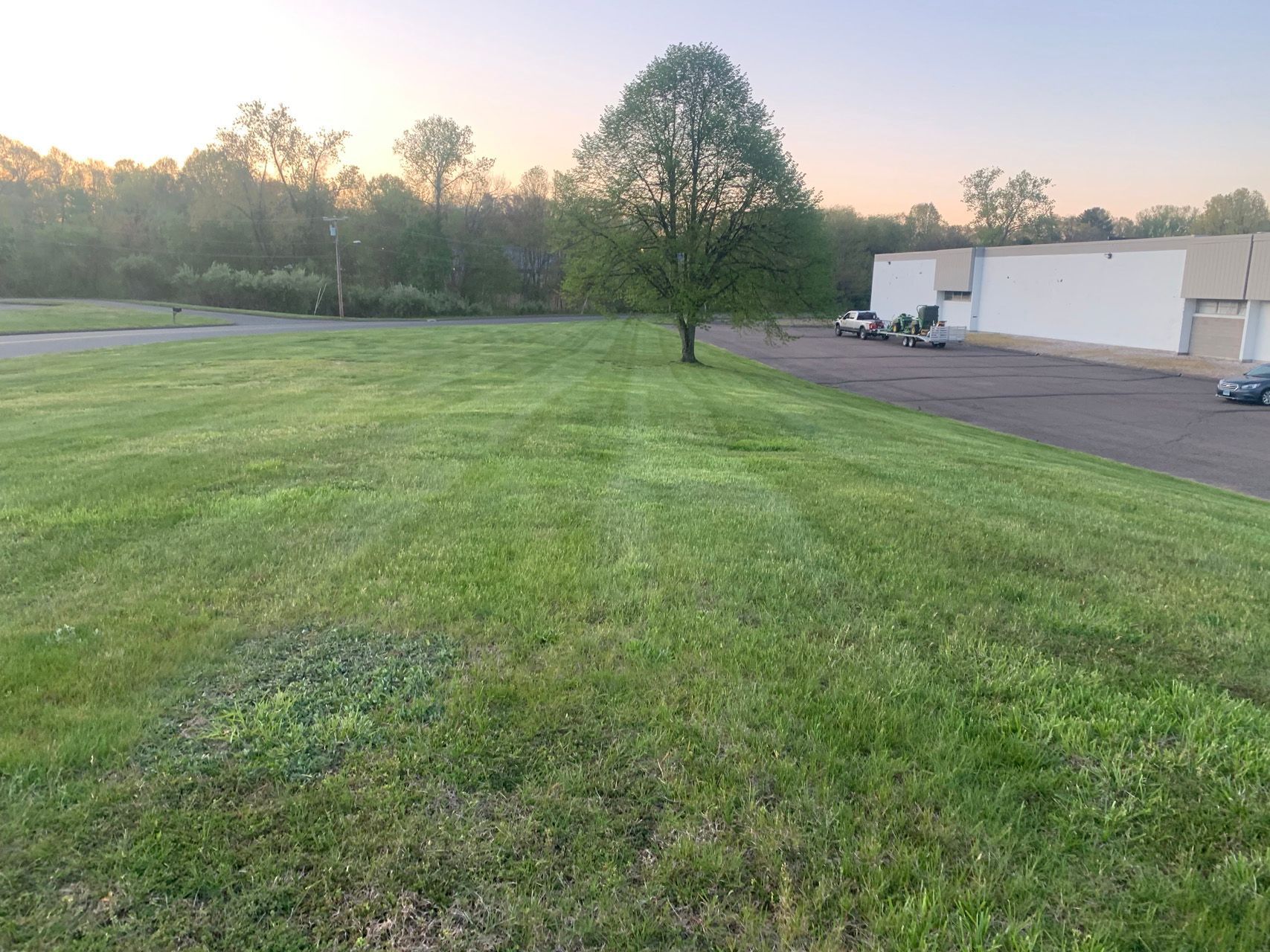 Grassy field at sunset beside a white industrial building and a lone tree.