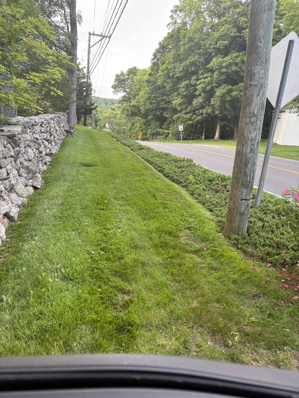Grassy roadside beside a stone wall and utility poles, with a paved road and trees on the right.