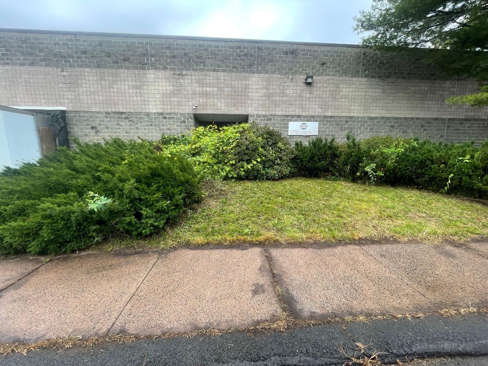 Overgrown shrubbery along a curb in front of a gray brick wall and sidewalk