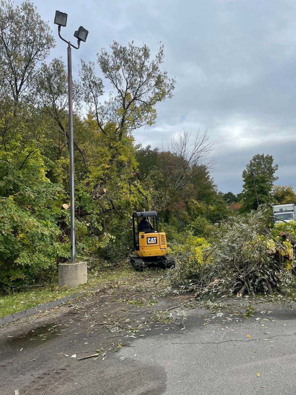 Small yellow excavator clearing fallen branches beside a road under cloudy skies