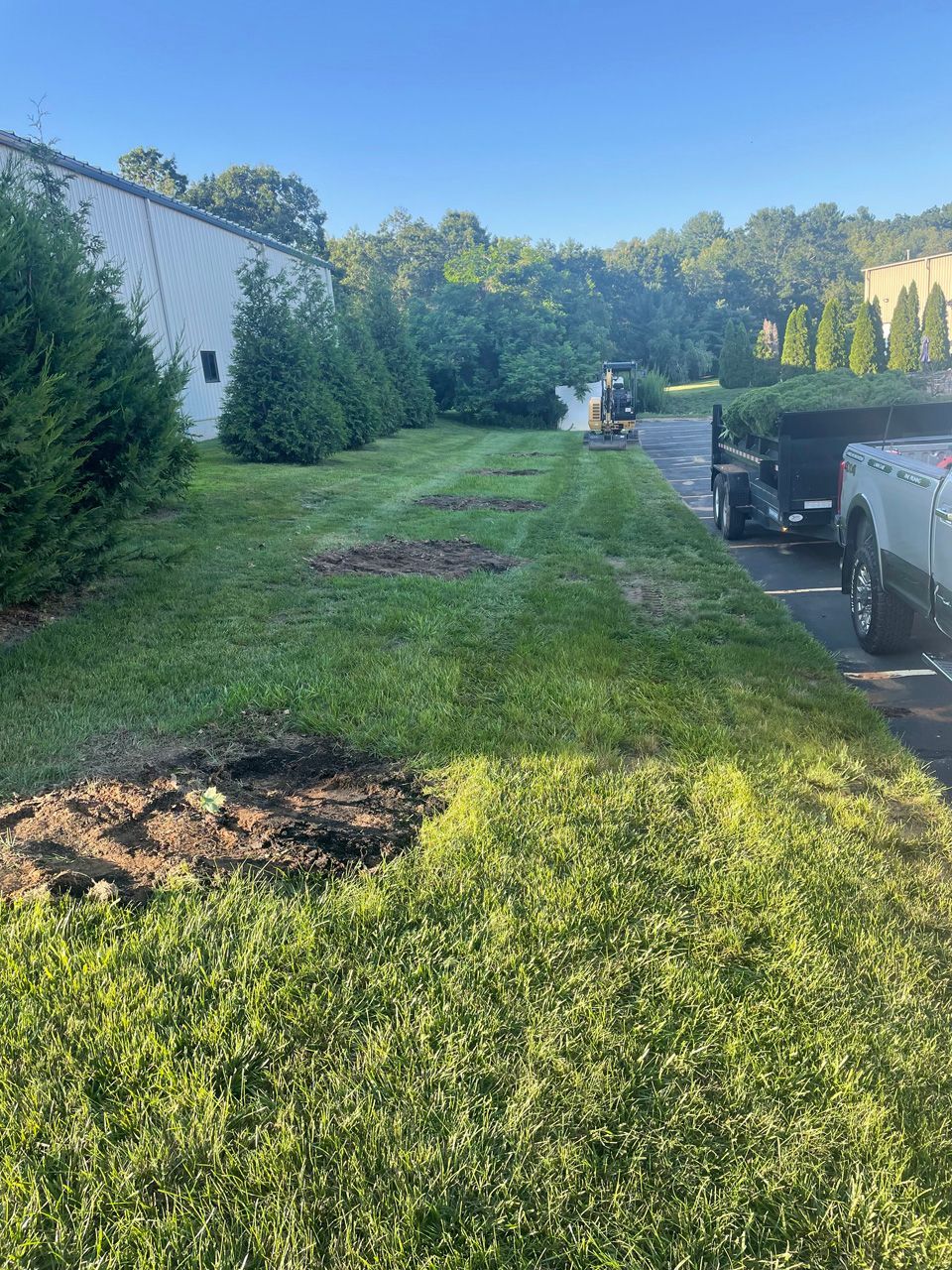 Grassy side yard beside a white fence and driveway with parked cars in sunlight